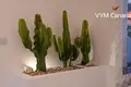 5-Schlafzimmer-Villa 350 m² Adeje, Spanien
