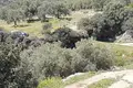 Land 1 605 m² Peloponnese Region, Greece