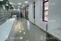 Commercial property 203 m² in Yerevan, Armenia
