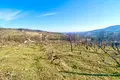 Land 3 606 m² Szekszardi jaras, Hungary