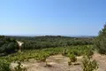 Land 1 room 8 300 m² Erfi, Greece