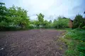 Haus 39 m² Piatryskauski sielski Saviet, Belarus