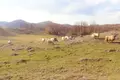 Земельные участки 179 000 м² Черногория, Черногория