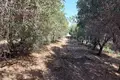 Land 2 000 m² Nea Plagia, Greece