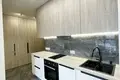 2 room apartment 29 m² Minsk, Belarus