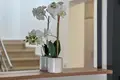 Willa 3 pokoi 277 m² Opcina Medulin, Chorwacja