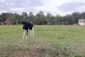 Земельные участки  Rekyva, Литва