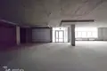 Nieruchomości komercyjne 10 pokojów 1 005 m² w Mińsk, Białoruś