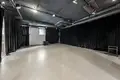 Propiedad comercial 178 m² en Galgiai, Lituania