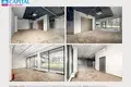 Коммерческое помещение 288 м² Вильнюс, Литва