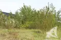 Земельные участки  Знаменский сельский Совет, Беларусь