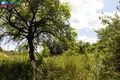 Дом 53 м² Darzininkai, Литва