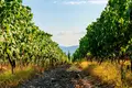 Wine is not just taste and aroma — it's the atmosphere and location that create it!