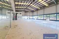 Warehouse 979 m² in Sant Vicent del Raspeig San Vicente del Raspeig, Spain