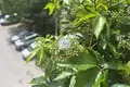 Apartamento 1 habitación 42 m² Guryevsk, Rusia
