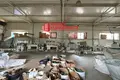 Fabrication 1 351 m² à Kapciouski sielski Saviet, Bélarus