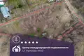 Atterrir  Krasnenski selski Savet, Bélarus
