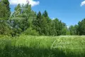 Land  poselenie Pervomayskoe, Russia