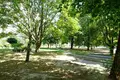 Appartement 3 chambres 53 m² en Varsovie, Pologne