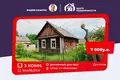 3 bedroom house 50 m² Sluck, Belarus