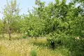 Działki  Anninskoe gorodskoe poselenie, Rosja