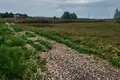 Parcelas  Zhabino, Rusia