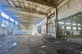 Manufacture 2 611 m² in Lyepyel, Belarus