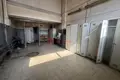 Produktion 723 m² Minsk, Belarus