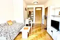 Apartamento 1 habitacion 46 m² Budva, Montenegro