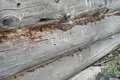 Дом 30 м² Городецкий муниципальный округ, Россия