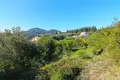 Land 1 room 4 100 m² Pelekas, Greece