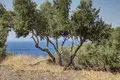 Atterrir  Sfinari, Grèce