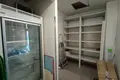 Commercial property 67 m² in Warsaw, Poland