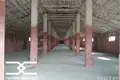 Warehouse 1 049 m² in Zodzinski selski Savet, Belarus
