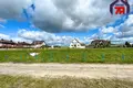 House 79 m² Cyzevicy, Belarus