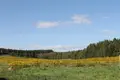 Dom 210 m² Ozyaritska Slabadski rural council, Białoruś