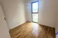Квартира 1 спальня 49 м² Рафаиловичи, Черногория