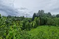 Grundstück  Seiliunai, Litauen