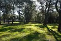 Willa 12 058 m² Grad Rovinj, Chorwacja