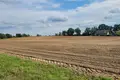 Land 2 592 m² Grzebienisko, Poland