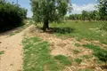 Land 1 room 5 338 m² Gerakini, Greece