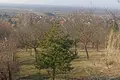 Land 1 475 m² Gyorujbarat, Hungary