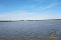Land  Zodzinski sielski Saviet, Belarus