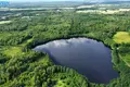 Land  Petrauskai, Lithuania