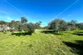 Land 5 108 m² Betina, Croatia