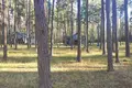 Commercial property 1 455 m² in Syckava, Belarus