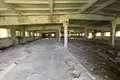 Gewerbefläche 6 000 m² Owidiopol, Ukraine
