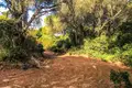 Land  Vejer de la Frontera, Spain