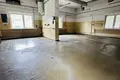 Gewerbefläche 13 zimmer 880 m² in Lazy, Polen