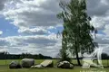 Land  Malyja Radvanicy, Belarus